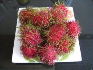 rambutan rambutan